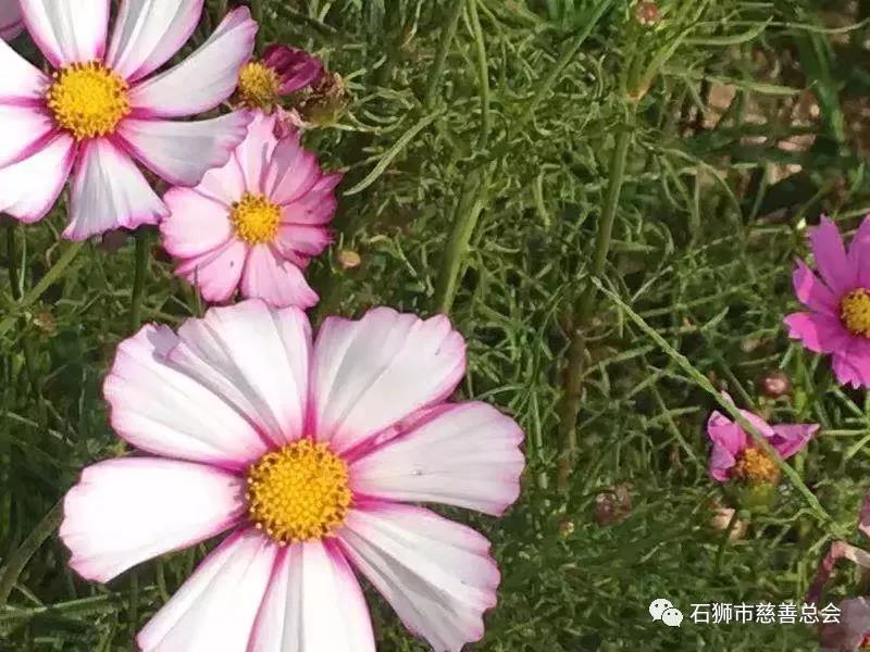 http://cszh-10069309.file.myqcloud.com/2018_12/199dfc9016842e147248439ac8d85f84.jpg